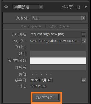 メタデータパネルのカスタマイズ