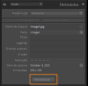 personalizar o painel metadados