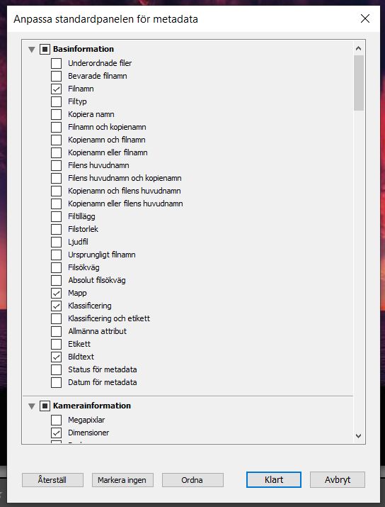 Anpassa standardpanelen för metadata
