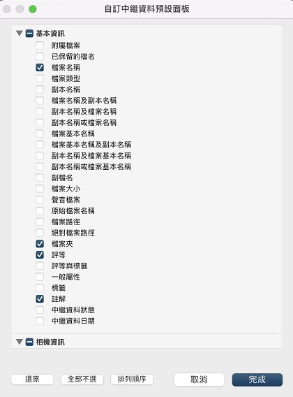 自訂預設中繼資料面板