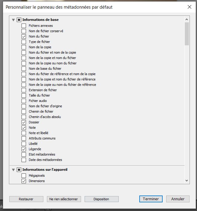 Personnaliser le panneau Métadonnées par défaut