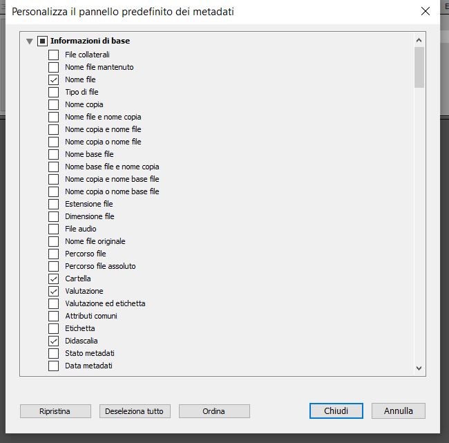 Personalizzare il pannello Metadati predefinito