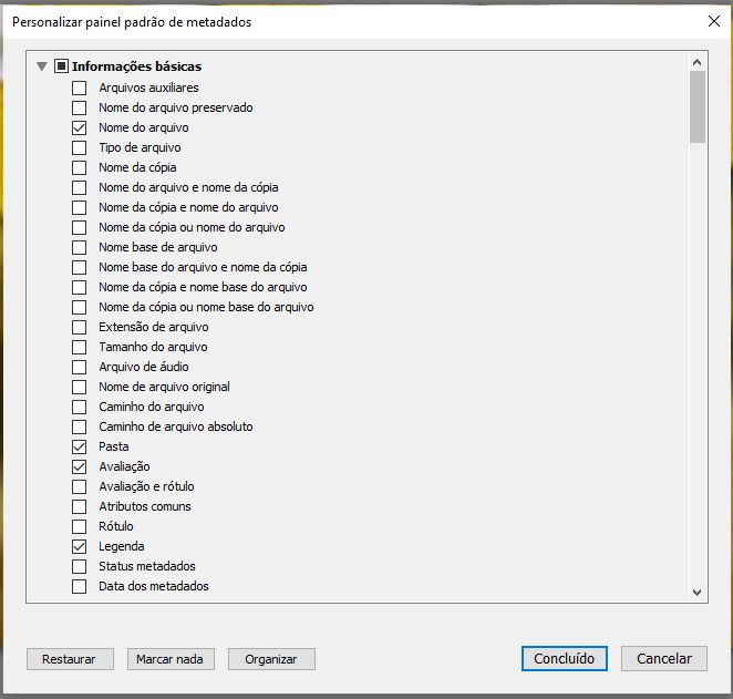 Personalizar o painel de metadados padrão