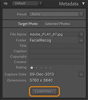 dostosowywanie panelu metadanych