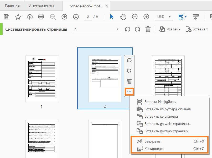 Выберите «Вырезать» или «Скопировать» в меню «Параметры»