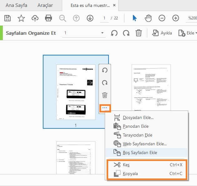 Seçenekler menüsünden Kes veya Kopyala'yı seçin
