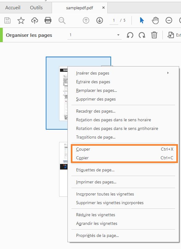 Couper-Copier à partir des vignettes de page de l’outil Organiser