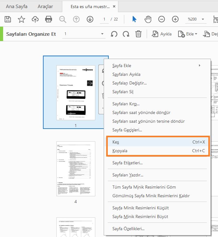 Organize Et aracı ile sayfa küçük resimlerini Kesme, Kopyalama