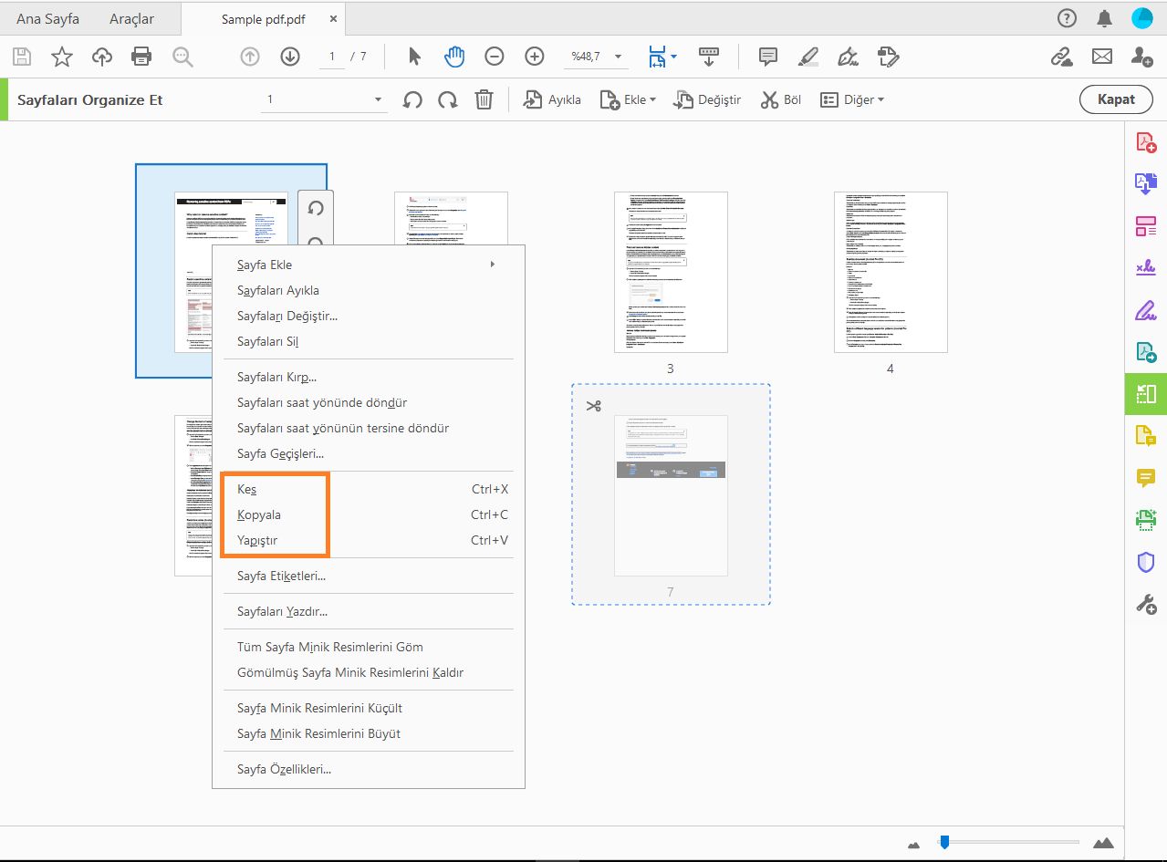 Sayfayı sağ tıklatın ve kopyalayın