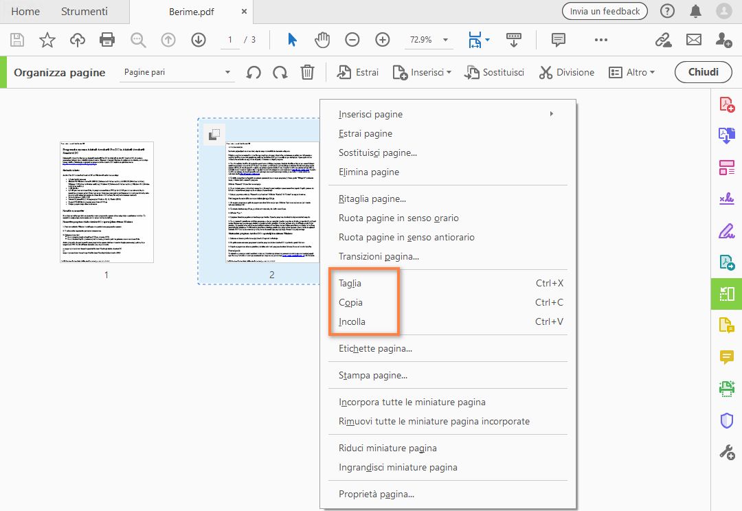 Fare clic con il pulsante destro del mouse e copiare la pagina