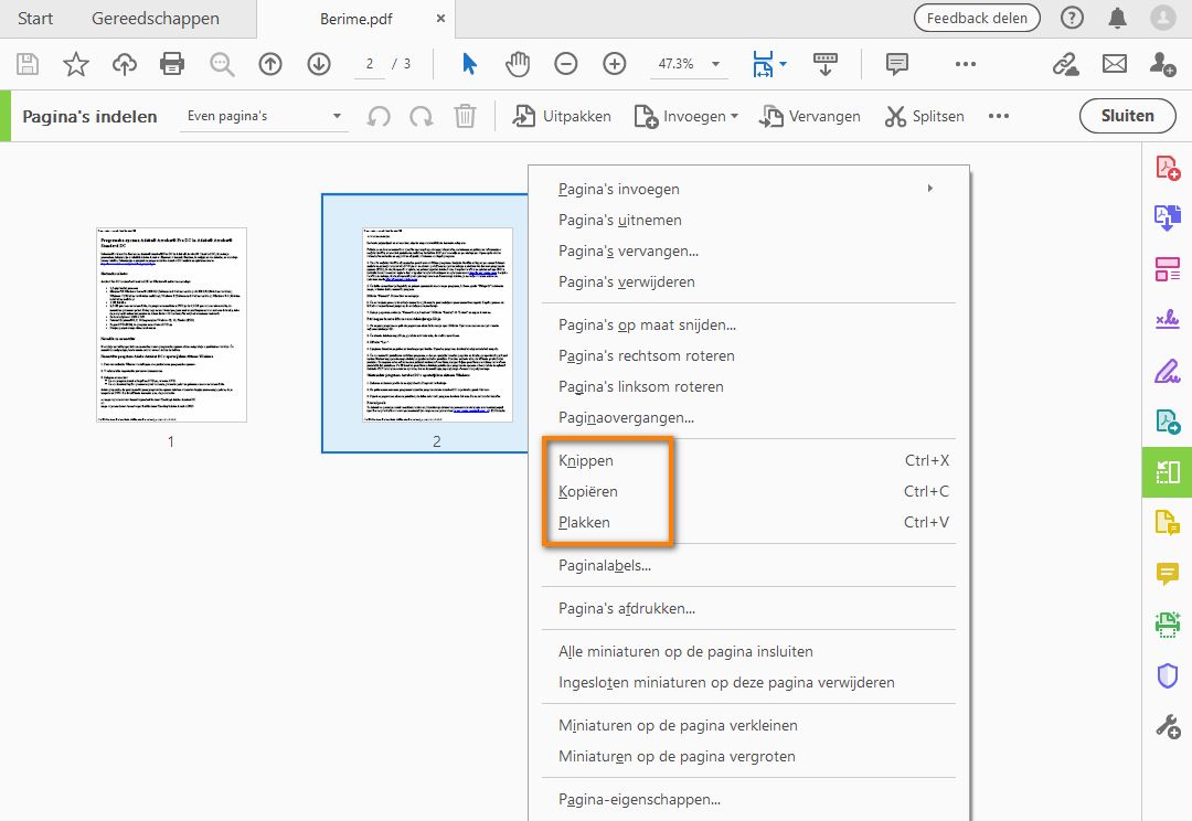 Met de rechtermuisknop klikken en de pagina kopiëren