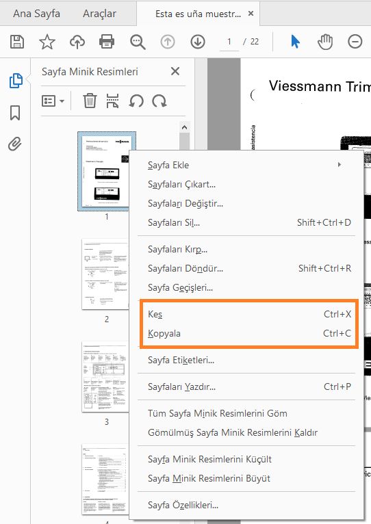 Küçük resim bağlam menüsünden Kesme, Kopyalama
