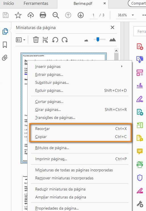 Cortar, Copiar no menu de contexto das miniaturas da página