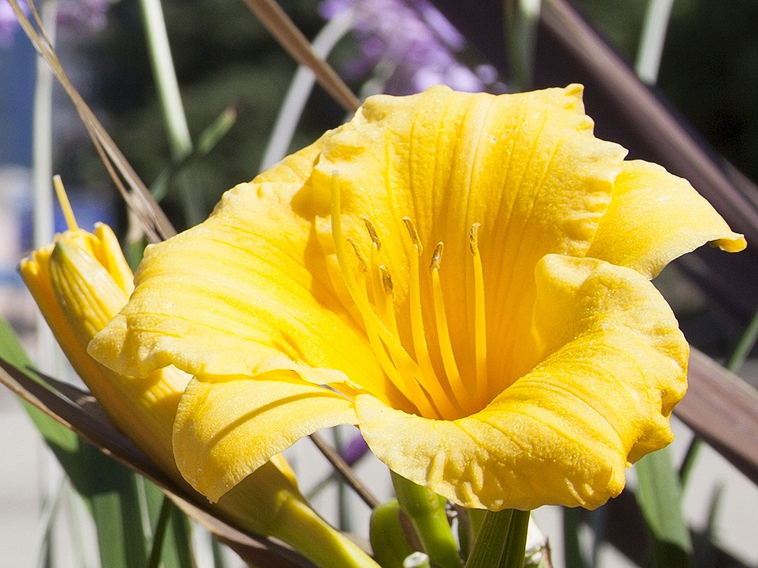 Photoshop - Scherpe foto waarvan het formaat is gewijzigd