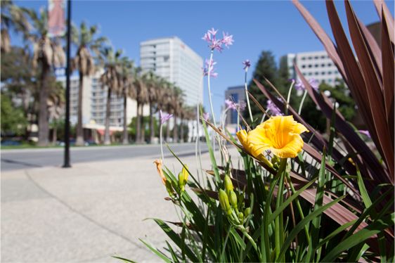 Photoshop Original uncropped photo