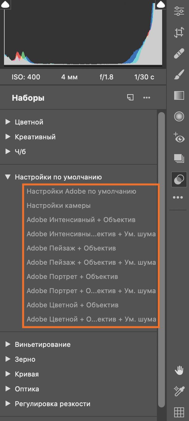 Стили по умолчанию в Adobe Camera Raw