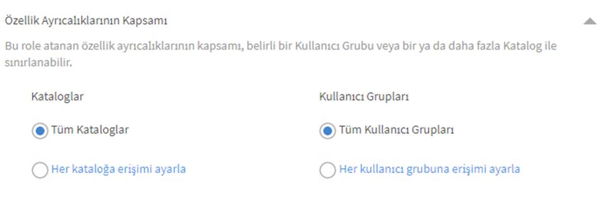 Ayrıcalık kapsamını tanımlama