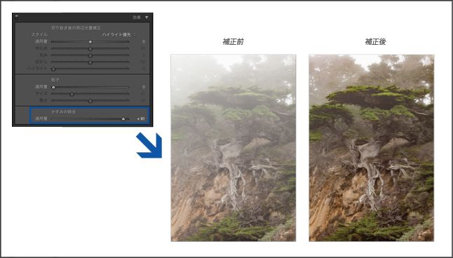 Lightroom かすみやもやの量を削減