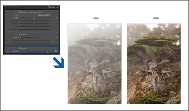 Lightroom: Minska mängden dis eller dimma
