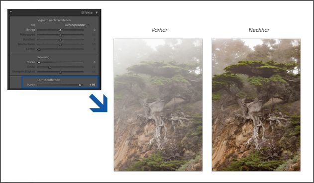 Verringern der Stärke des Dunstes oder Nebels in Lightroom