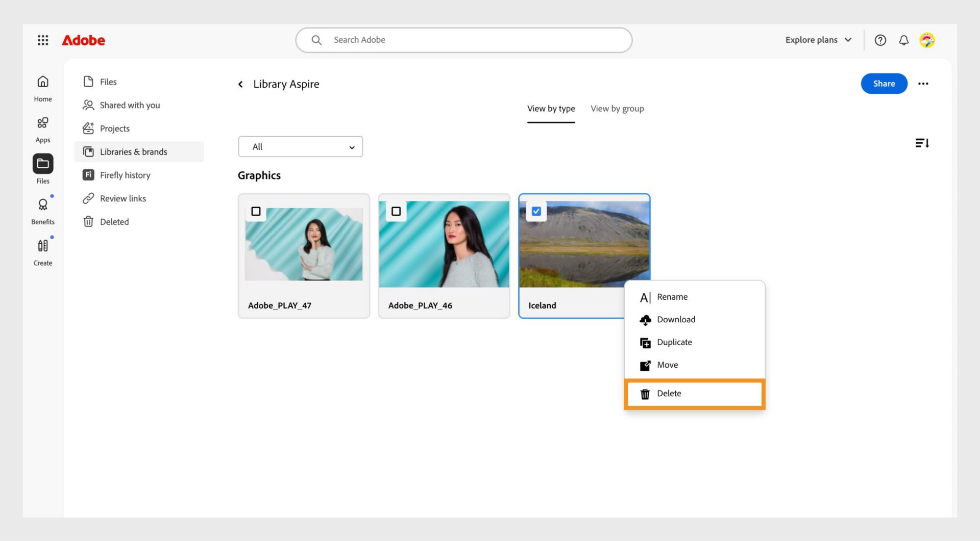 Контекстне меню елемента, яке відкривається після клацання правою кнопкою миші на елементі в бібліотеці. Воно містить команду видалення цього елемента з бібліотеки. 