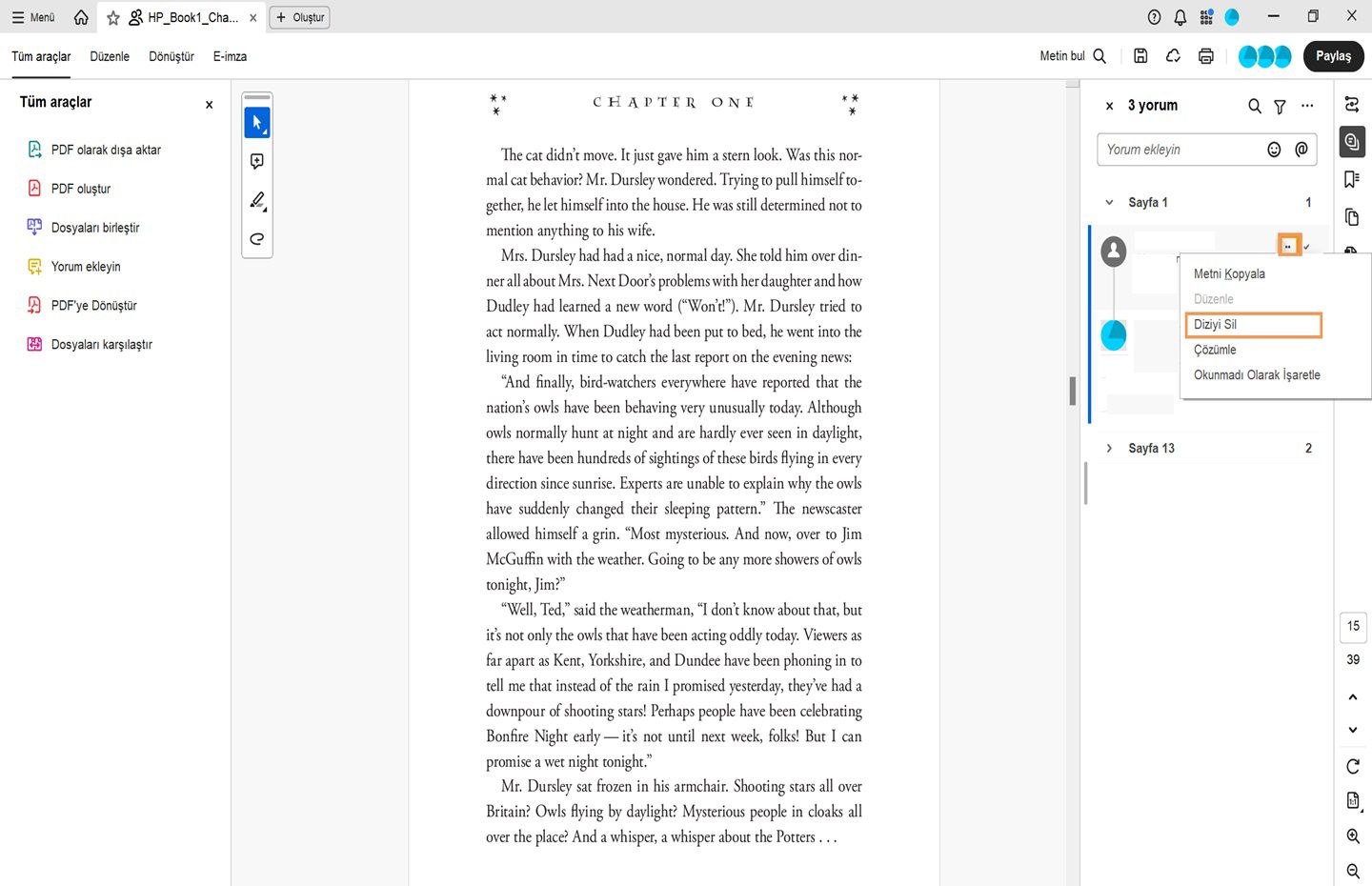 Acrobat'ın yorum paneli açık. Bir yorum seçilir ve Diziyi Sil seçeneği vurgulanır. 