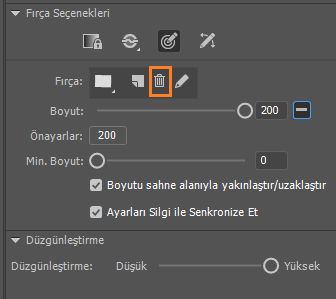 Özel fırçayı silme