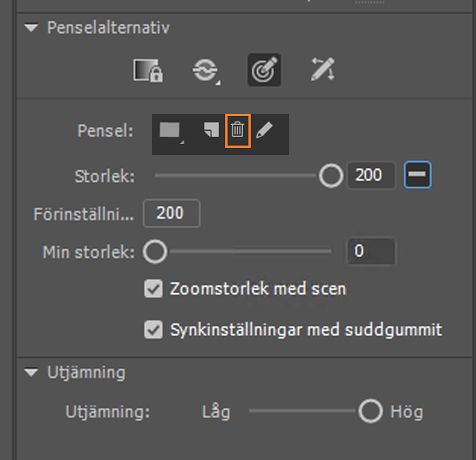 Ta bort anpassad pensel