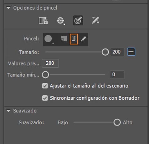 Eliminar pincel personalizado