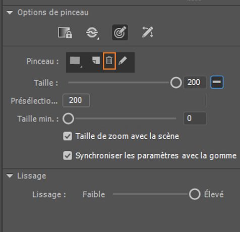 Suppression du pinceau personnalisé