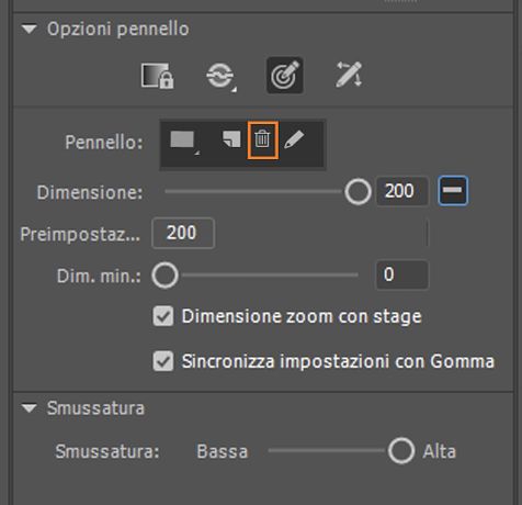 Eliminare il pennello personalizzato