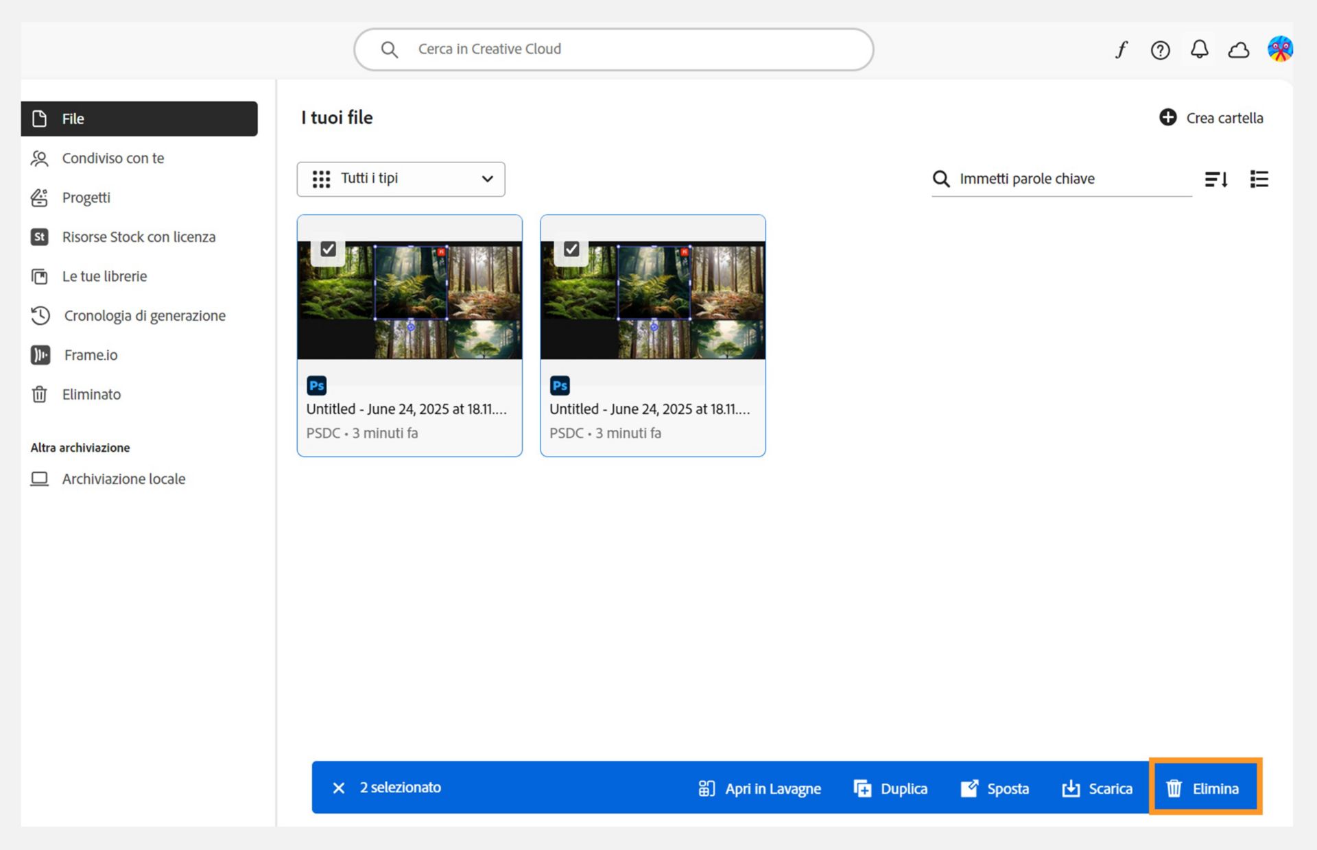 Il nastro blu, che appare in basso quando selezioni i tuoi file nella scheda File, offre l'opzione per eliminare i tuoi documenti cloud. 