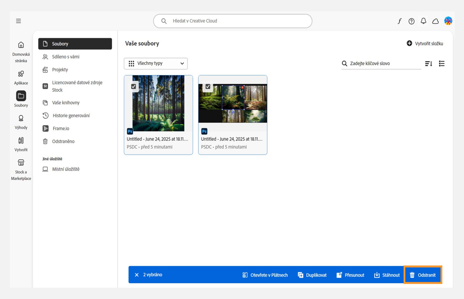 Modrá lišta, která se zobrazí ve spodní části při výběru souborů na kartě Soubory, nabízí možnost delete vaše cloud dokumenty. 
