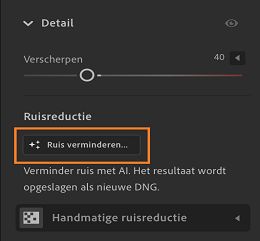 De functie Ruis verminderen in het deelvenster Details.