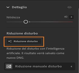Funzione Riduzione disturbo nel pannello Dettagli.