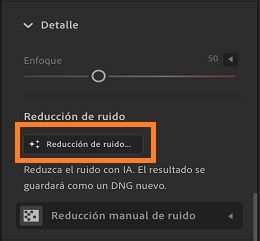 Función Quitar ruido del panel Detalle.