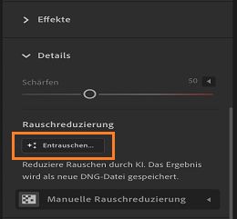 Funktion „Entrauschen“ im Bedienfeld „Details“.