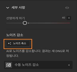 세부 정보 패널의 노이즈 제거 기능입니다.