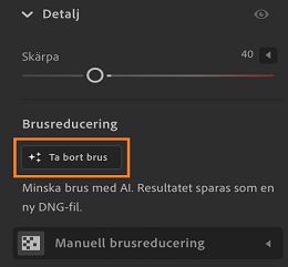 Funktionen Ta bort brus i panelen Detalj.