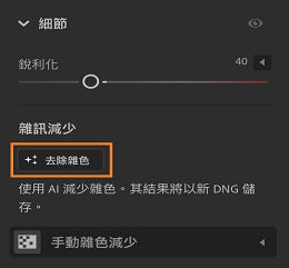 「細節」面板的「雜色減少」功能。