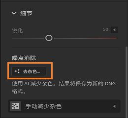 “细节”面板中的去杂色功能。