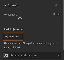 Funkcja Usuwanie szumu w panelu Szczegół.