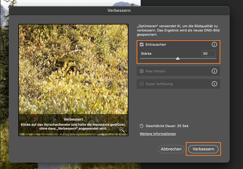 „Vorschau für Verbessern nach Entrauschen“ wurde auf ein Raw-Bild angewendet.