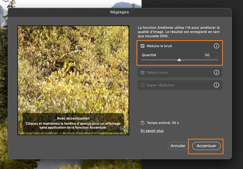 Aperçu de l’accentuation après application de l’effet Réduire le bruit à une image RAW.