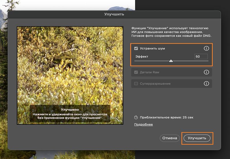 Предварительный просмотр улучшения после применения функции «Уменьшение шума» к изображению Raw с шумом.