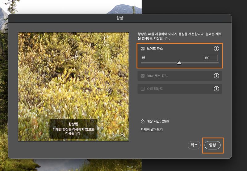 노이즈가 있는 RAW 이미지에 노이즈 제거가 적용된 후의 향상 미리 보기입니다.
