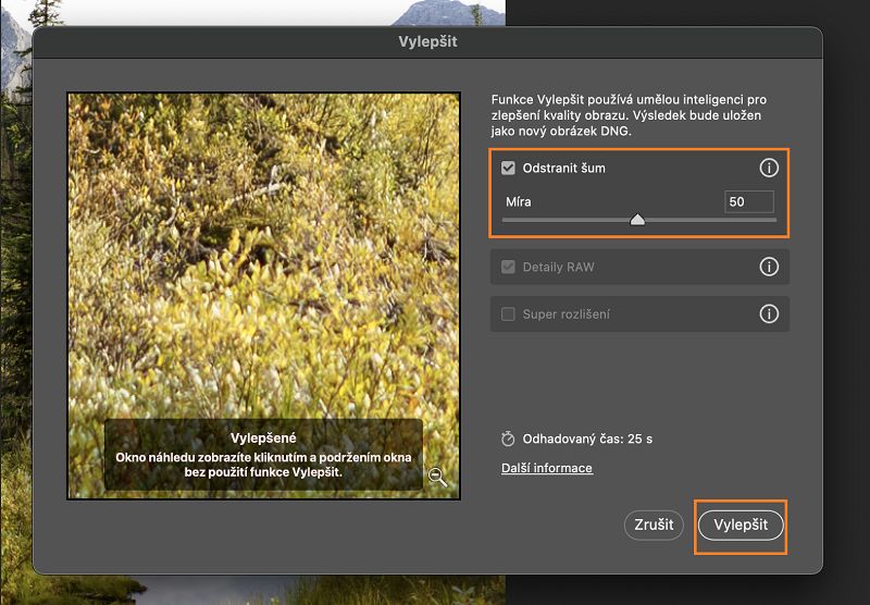 Na obrázek RAW s šumem byl po použití funkce Odstranit šum aplikován náhled funkce Vylepšit.