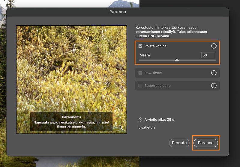 Parannuksen esikatselu, kun Poista kohina -toimintoa on käytetty kohinaa sisältävään RAW-kuvaan.