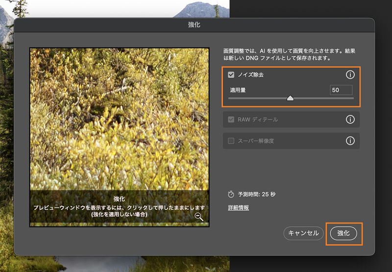 ノイズのある Raw 画像にノイズ除去を適用した後のプレビューを強化します。