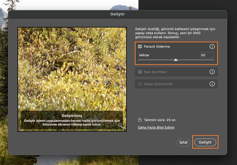 Parazit içeren bir RAW görüntüsüne Parazit Gider özelliği uygulandıktan sonra Geliştirme Önizlemesi.